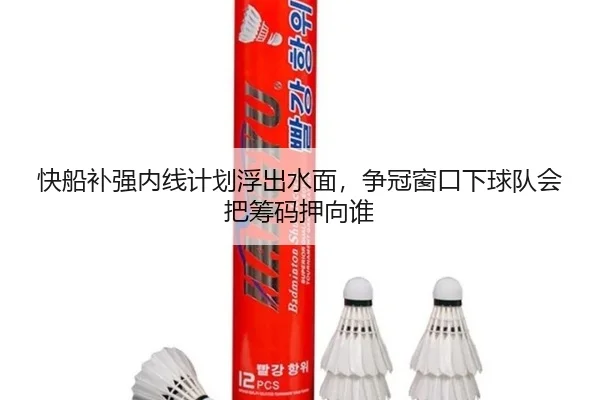 快船补强内线计划浮出水面，争冠窗口下球队会把筹码押向谁
